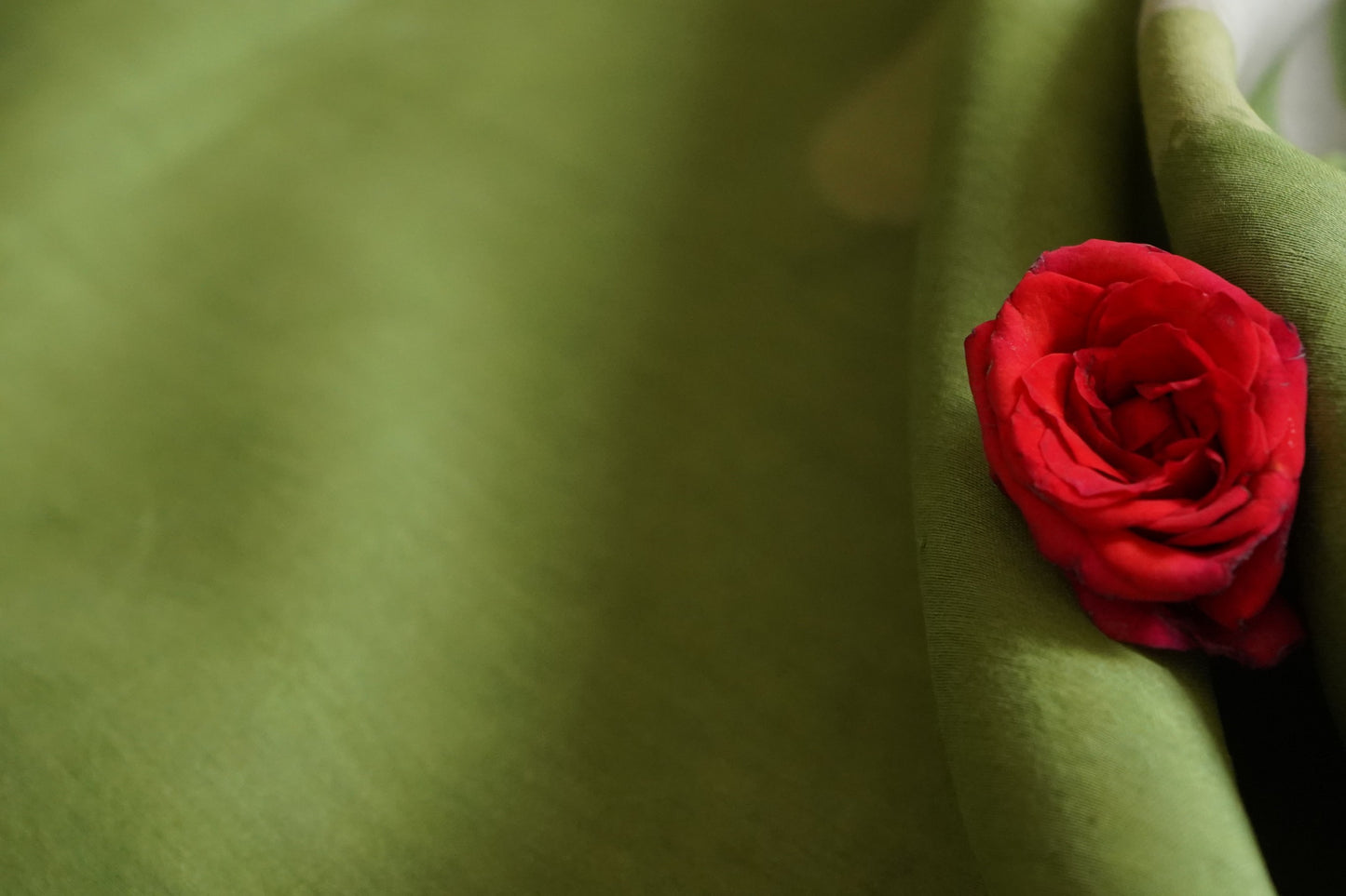 Hand Block Printed Chanderi Silk Cotton Saree