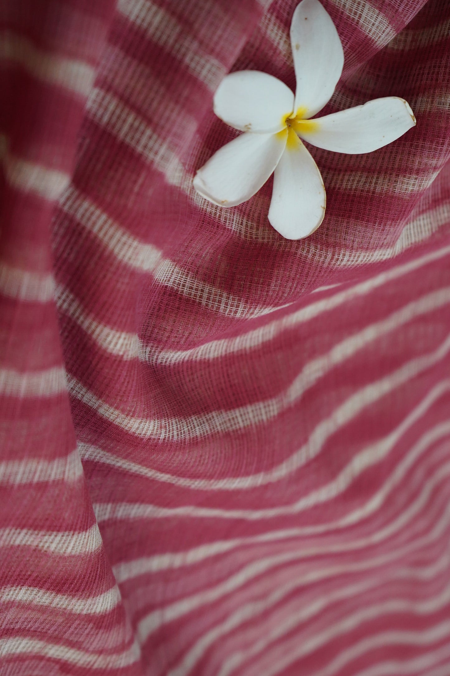 Hand Block Printed Kota Cotton Saree