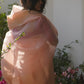 Pure Kora Silk Saree with Woven Border