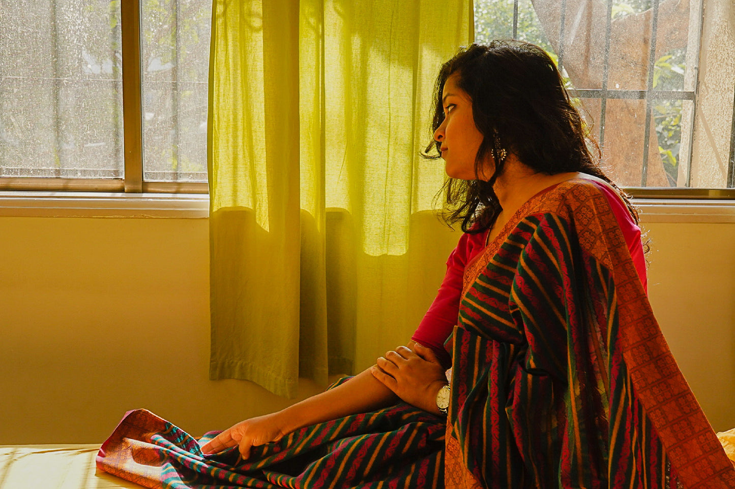 Banarasi Multicoloured Handwoven Cotton Saree